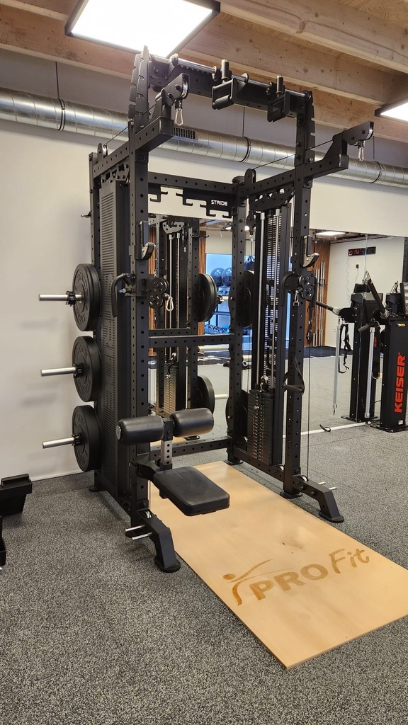 Raptor multifunctional power rack (weight stack)