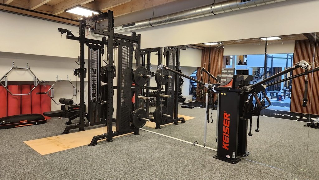 Raptor multifunctional power rack (weight stack)