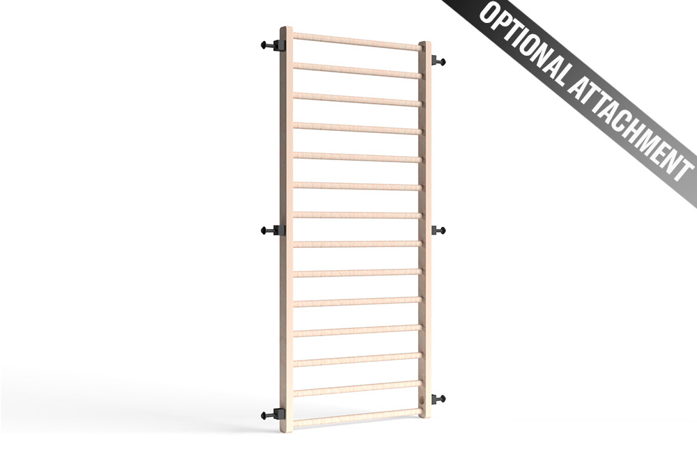 RAPTOR Power Rack with Shelves 1-1