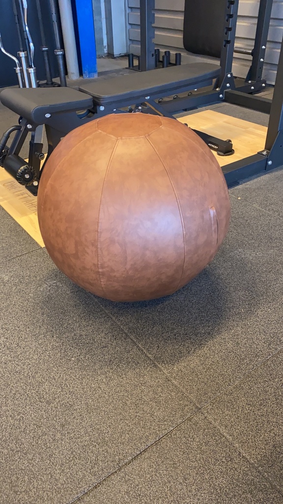 Balance Ball Cover (artificial leather)