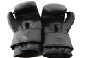 STRIDE Boxing gloves (pair; 12oz)