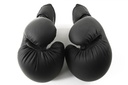 STRIDE Boxing gloves (pair; 12oz)