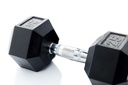 ​Hex Rubber Dumbbell (pair; 25kg) Discontinued Product