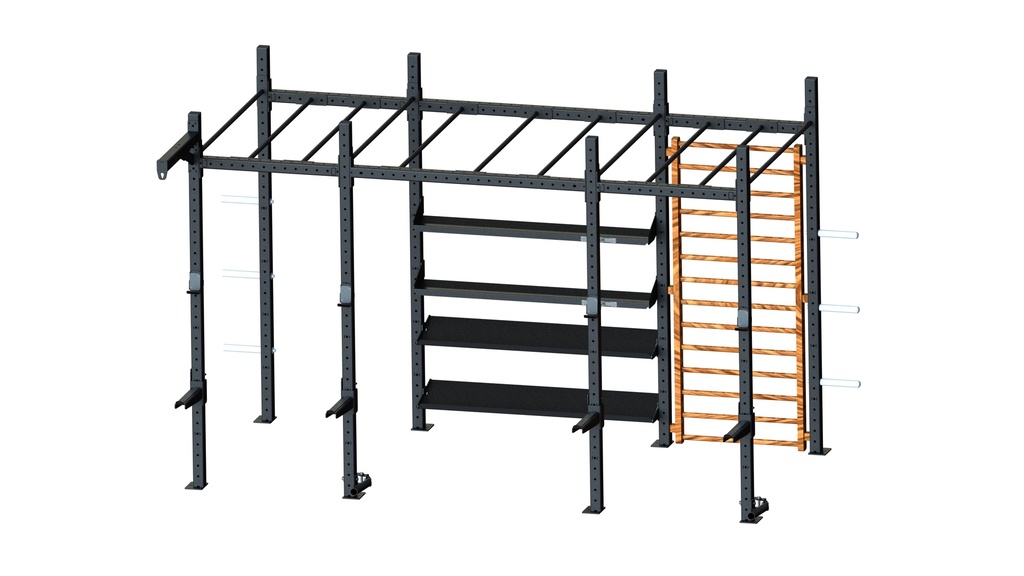 EF Wall-Mounted Power Rack 2-1 with monkey bars and wooden ladder