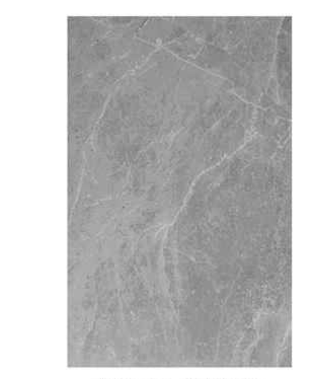 Concrete wall panel (3mm*1220mm*2440mm) / price per panel