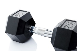 [STR-HEXDB250-PAIR] ​Hex Rubber Dumbbell (pair; 25kg) Discontinued Product