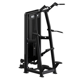 [STR-CHINDIP-61A16] STRIDE standing assisted chin/dip