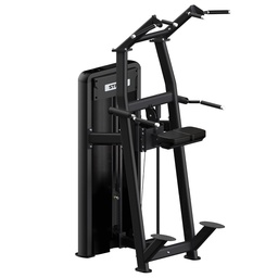 [STR-ASSISTCHINDIP-61A16A] STRIDE assisted chin/dip