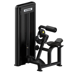 [STR-BACKEXTENSION-61A17] STRIDE back extension